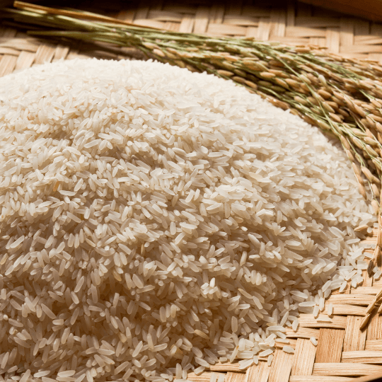 Rice grains ready for wholesale packaging